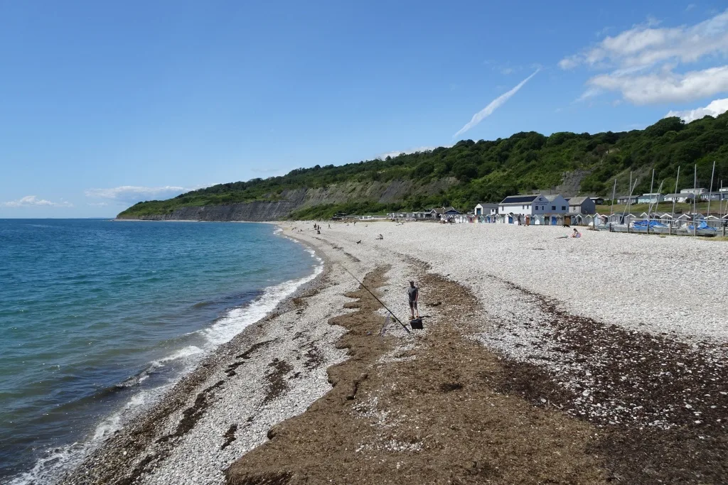 Dog-friendly cottages in Dorset