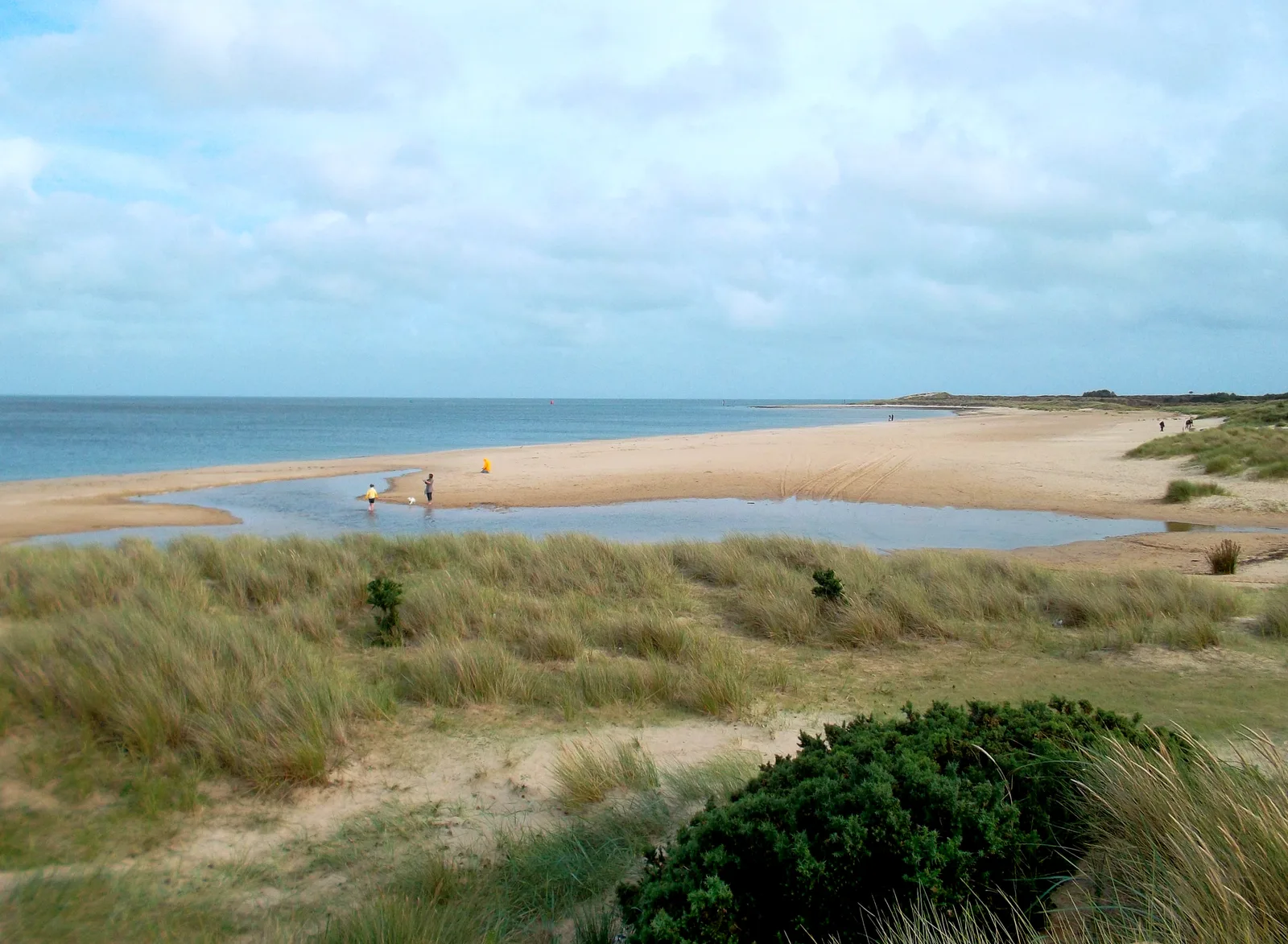 Shell Bay, Dorset