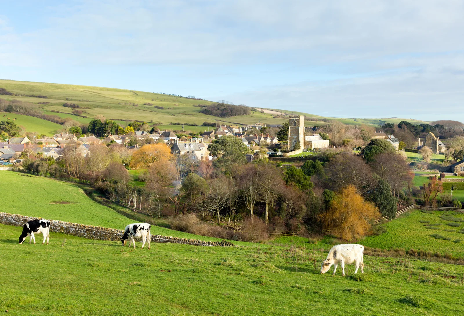 Abbotsbury