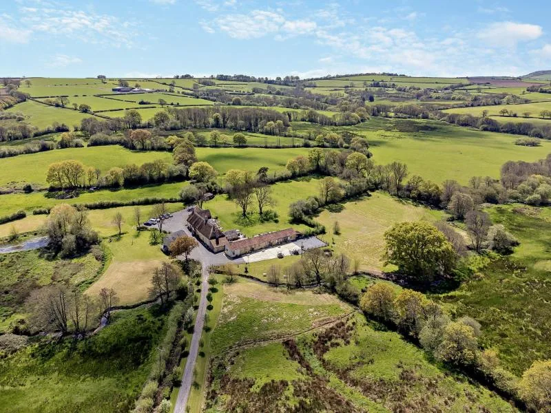 Primrose - Buckham Mills