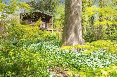 Woodland Views Lodge