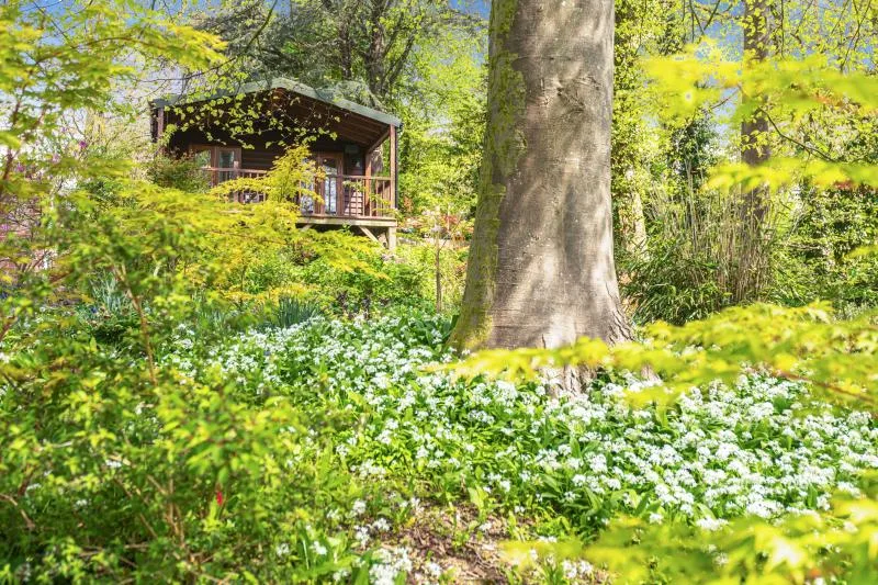 Woodland Views Lodge